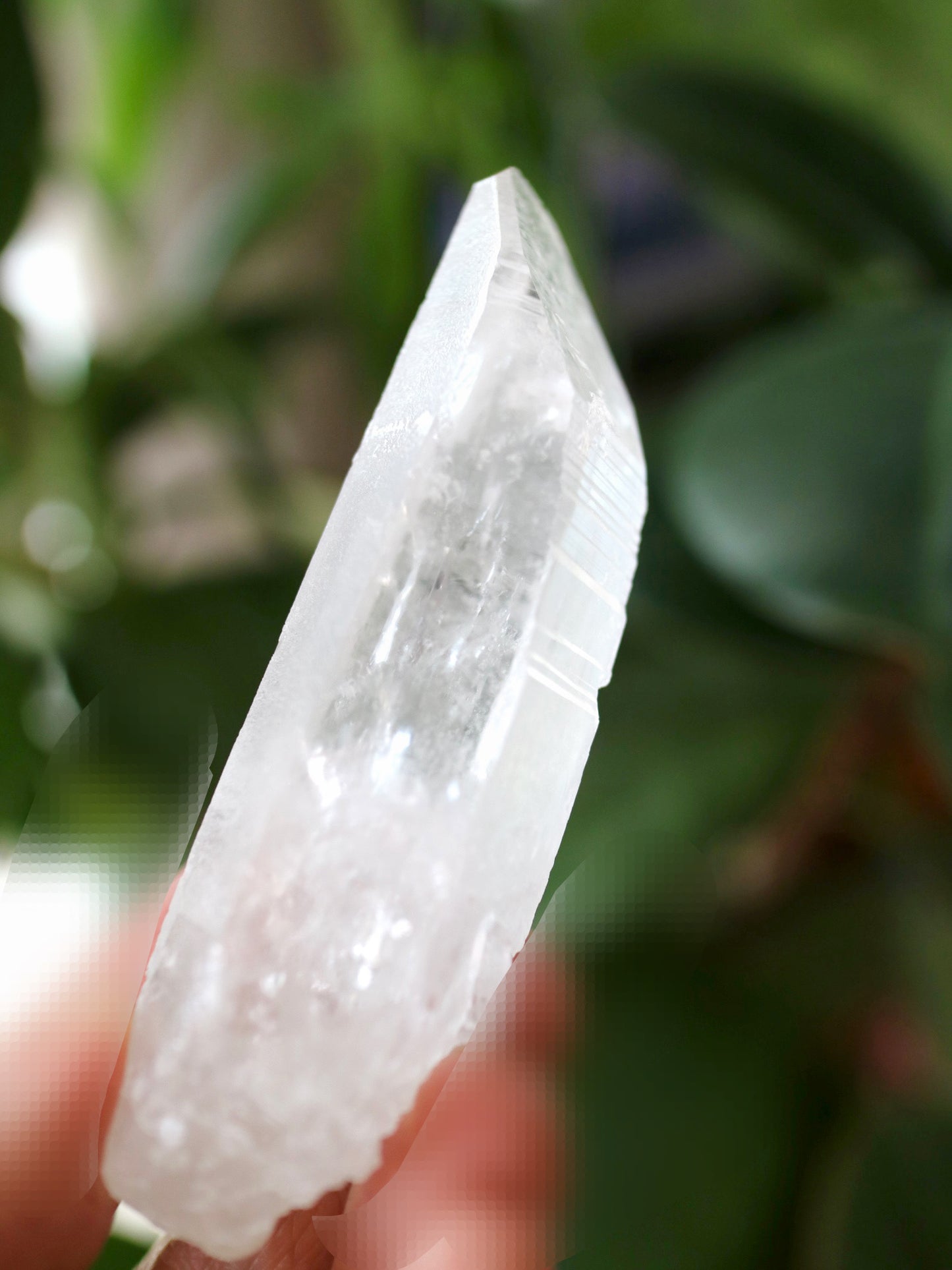オリジナル鉱山 セラ・ド・カブラル鉱山 レムリアン シード クォーツ ポイント 小 手のひらサイズ Lemurian Seed Quartz Serra do Cabral, MG, Brazil