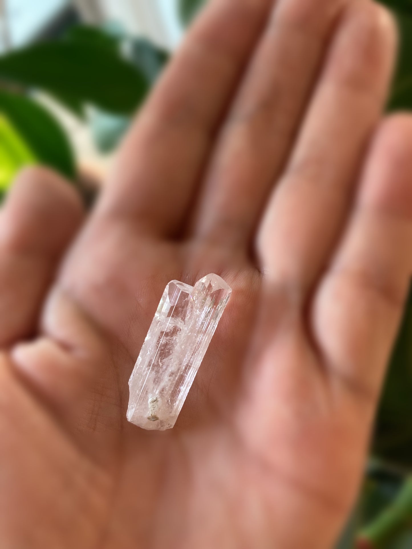 ダンビュライト 小 小指サイズ 手のひらサイズ ジェムクオリティ Danburite Gem Quarity メキシコ Aurora鉱山産 縦 3.2cm x 横 1.2cm x 厚さ 0.6cm