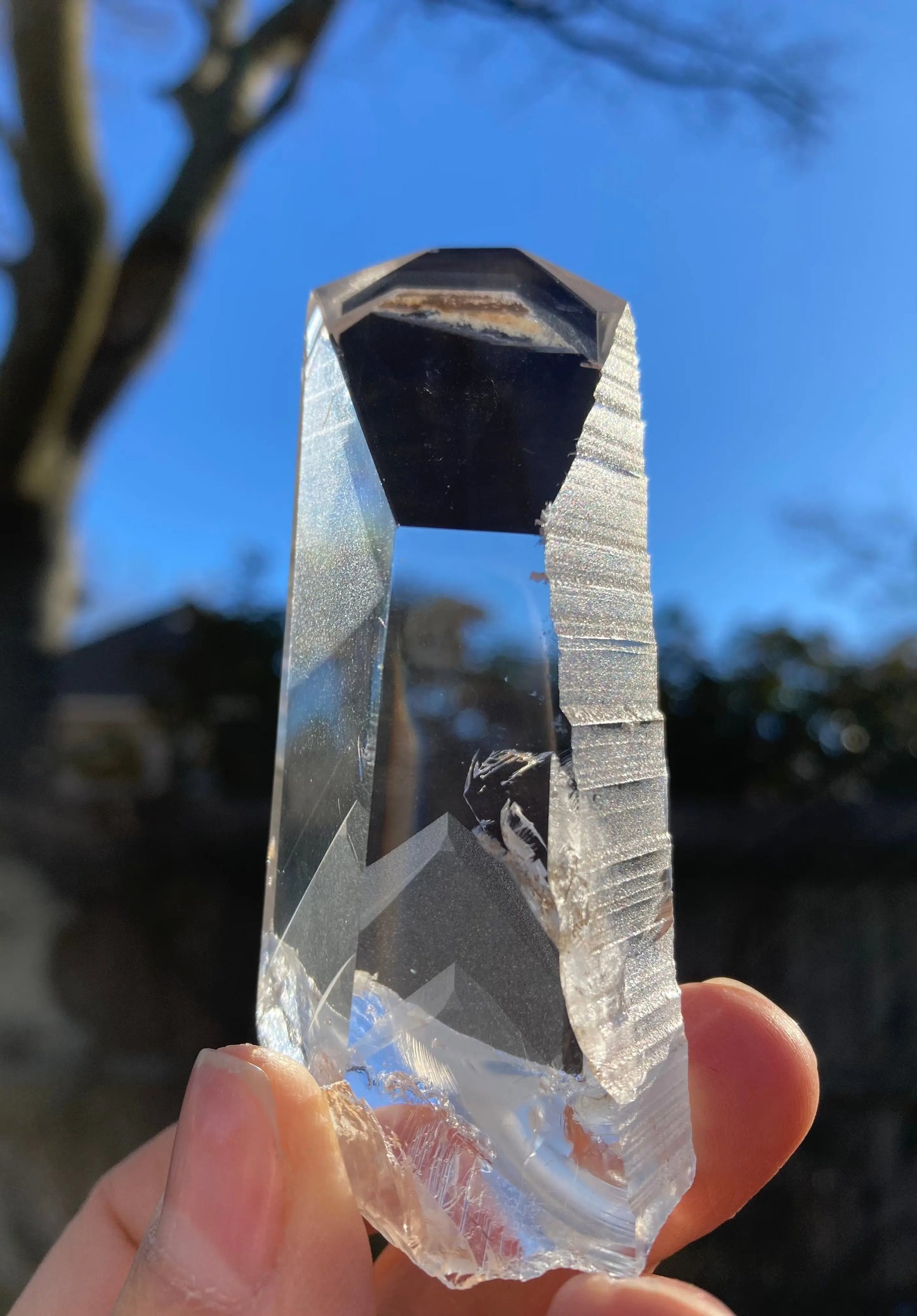 レムリアン シード クォーツ ポイント(ファントム)8cm x 3cm x 2.4cm、87g