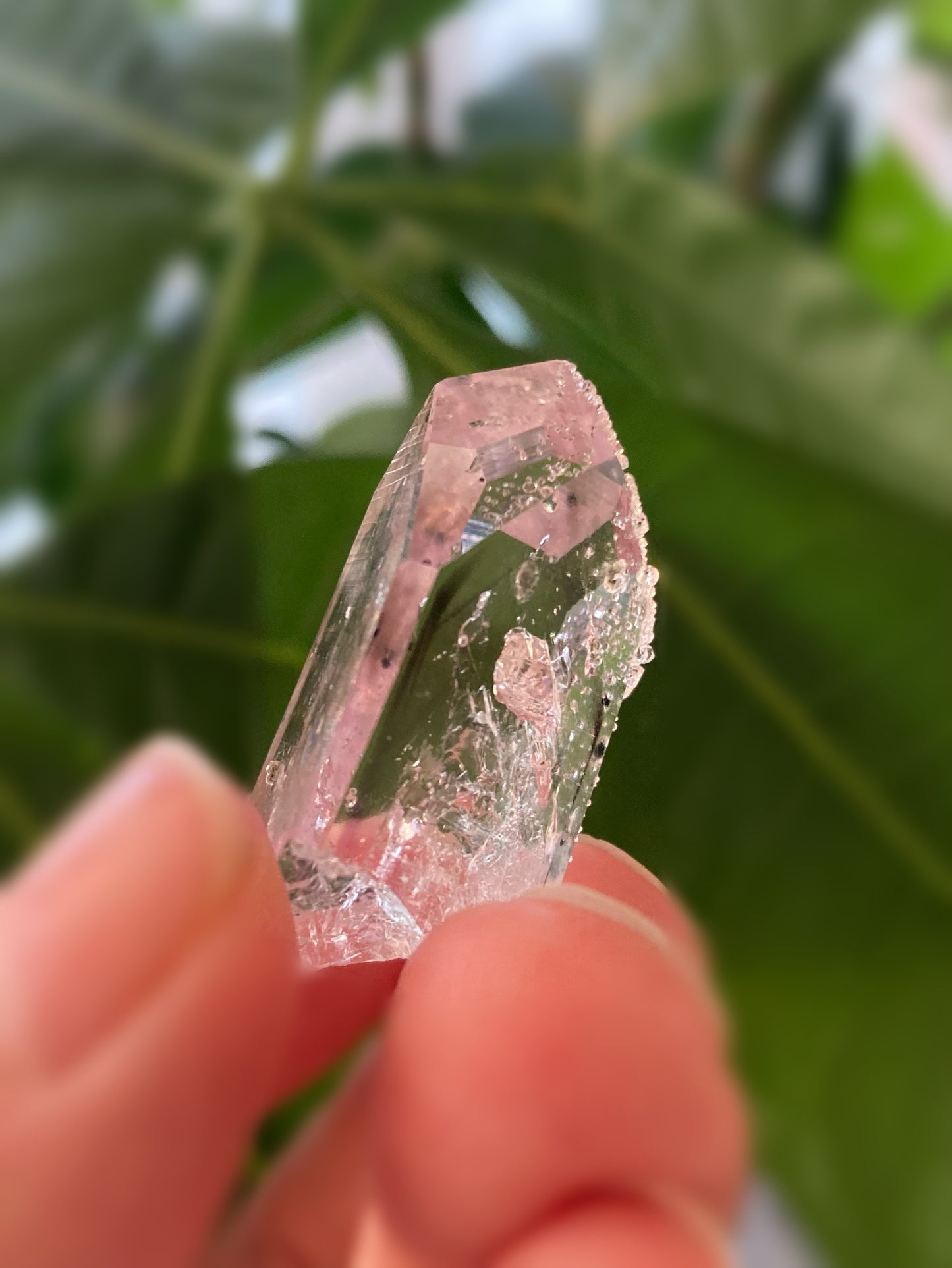 (希少)ブランドバーグ アメジスト with アナルシム (方沸石)(1)
Brandberg Amethyst with Analcime (1)
ナミビア エロンゴ州 ブランドバーグ地方 ゴボボセブ Streep鉱山産 3.4センチ x 2センチ x 1.2センチ、12.2g