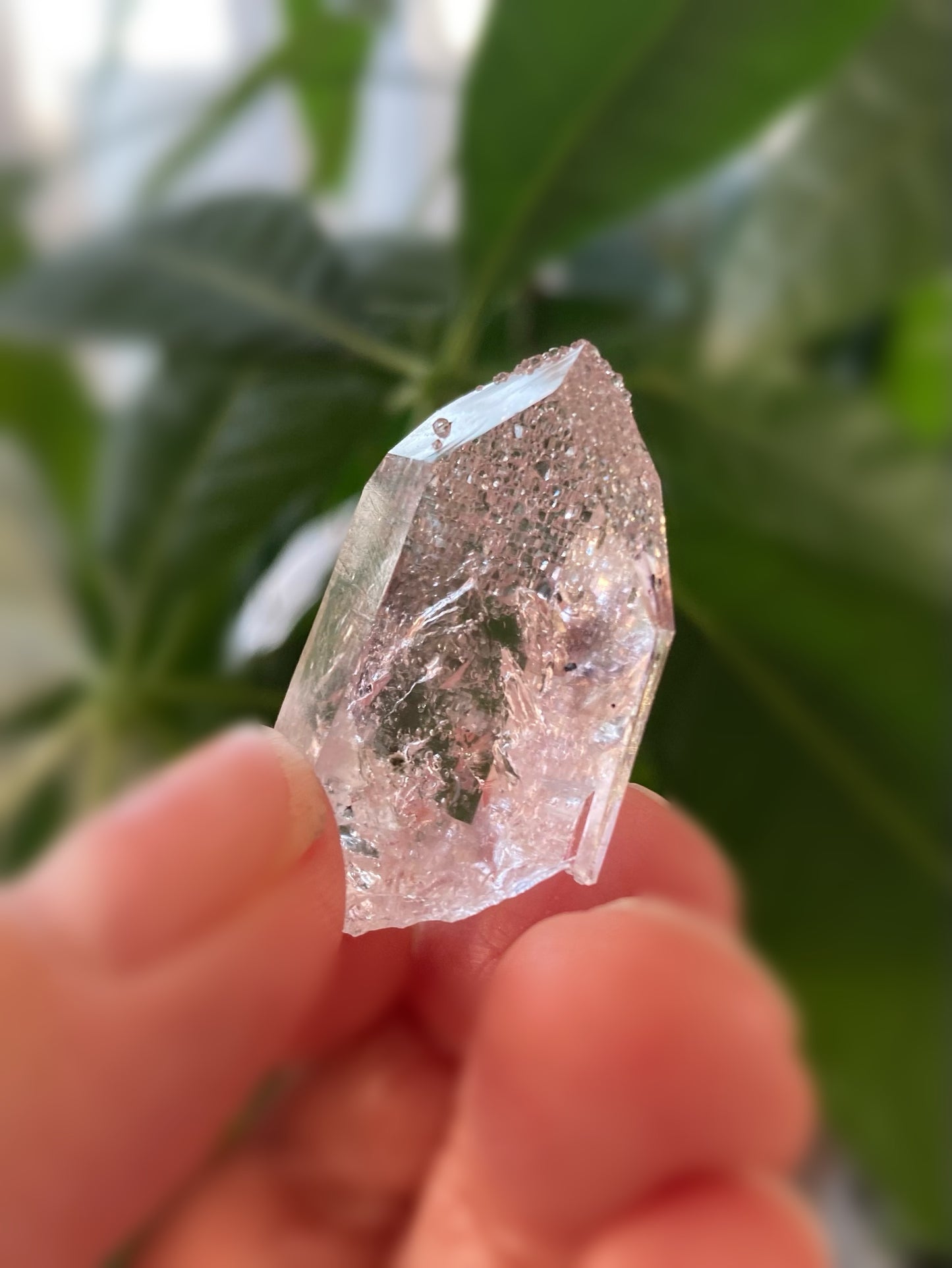 (希少)ブランドバーグ アメジスト with アナルシム (方沸石)(1)
Brandberg Amethyst with Analcime (1)
ナミビア エロンゴ州 ブランドバーグ地方 ゴボボセブ Streep鉱山産 3.4センチ x 2センチ x 1.2センチ、12.2g