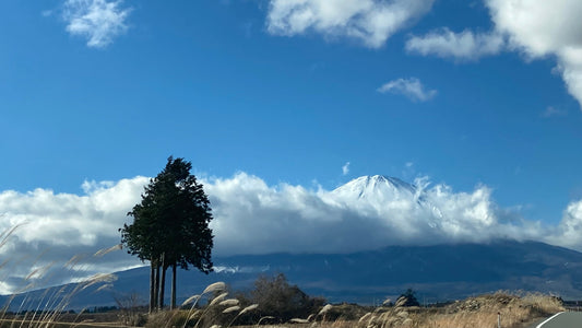 2026年 あけましておめでとうございます