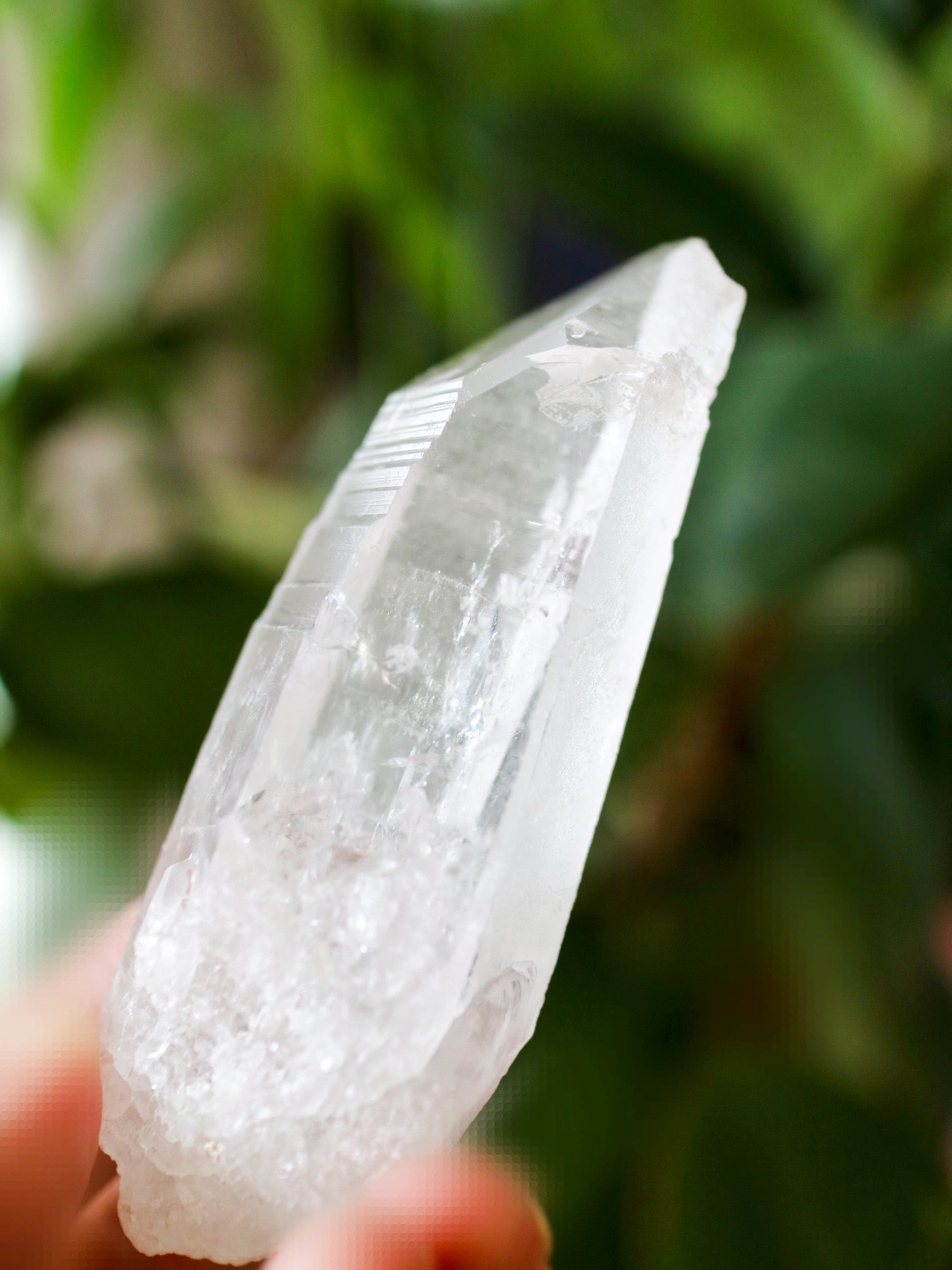 オリジナル鉱山 セラ・ド・カブラル鉱山　レムリアン シード クォーツ ポイント 小 手のひらサイズ Lemurian Seed Quartz  Serra do Cabral, MG, Brazil 