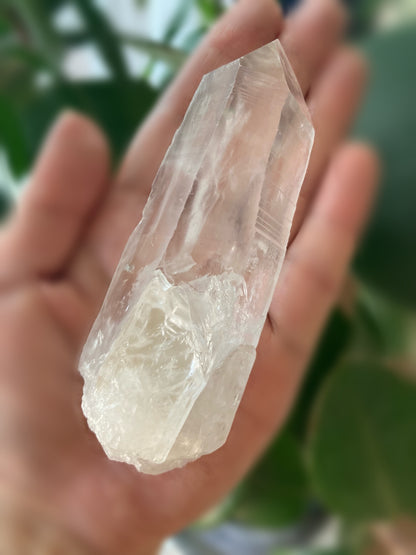 セラ・ド・カブラル鉱山　レムリアン シード クォーツ ポイント 小 手のひらサイズ  Lemurian Seed Quartz (Serra do Cabral, MG, Brazil  サイズ 11.5cm x 4cm x 3cm、208.2g