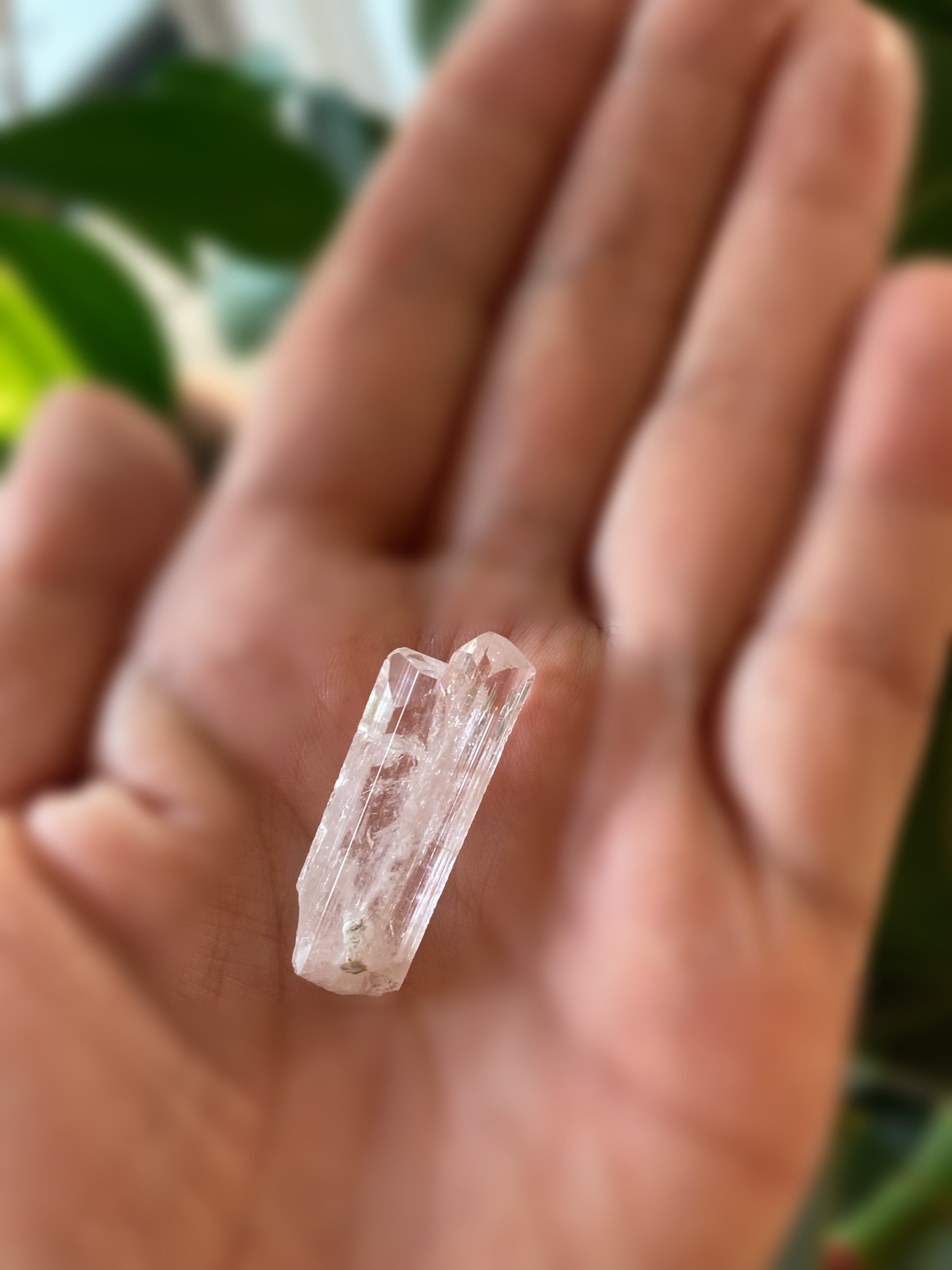 ダンビュライト 小 小指サイズ  手のひらサイズ　ジェムクオリティ　Danburite Gem Quarity メキシコ Aurora鉱山産 縦 3.2cm x 横 1.2cm x 厚さ 0.6cm