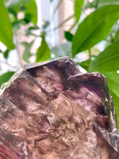 『 スモーキー＆アメシスト エレスチャル クォーツ 』Smokey＆Amethyst Elestial Quartz